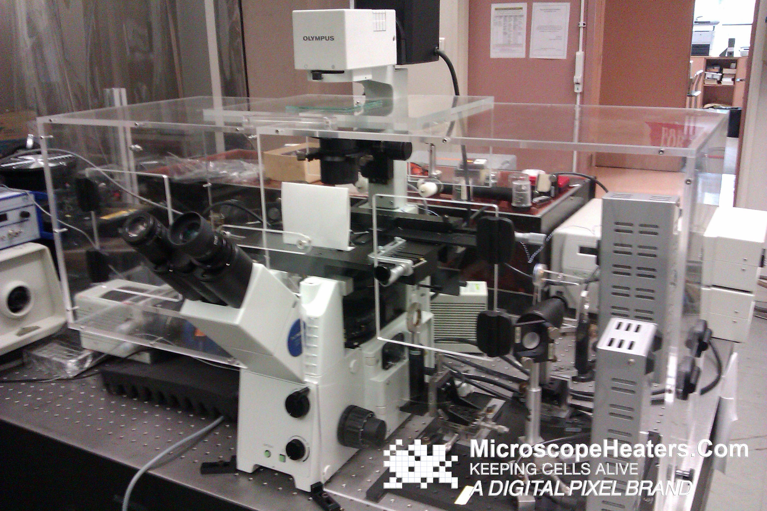 Olympus Microscope